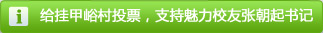 給掛甲峪投票，支持魅力校友張朝起書記