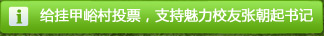 給掛甲峪投票，支持魅力校友張朝起書記